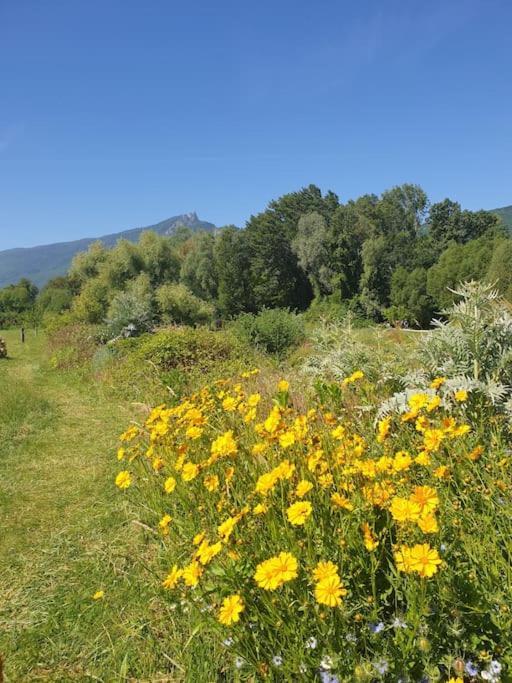 Maison Proche Du Holiday home *